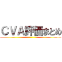 ＣＶＡ評価まとめ ()