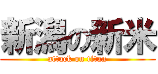 新潟の新米 (attack on titan)