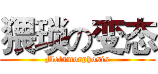 猥琐の变态 (Metamorphosis)