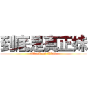 到底是真正妹 (attack on titan)