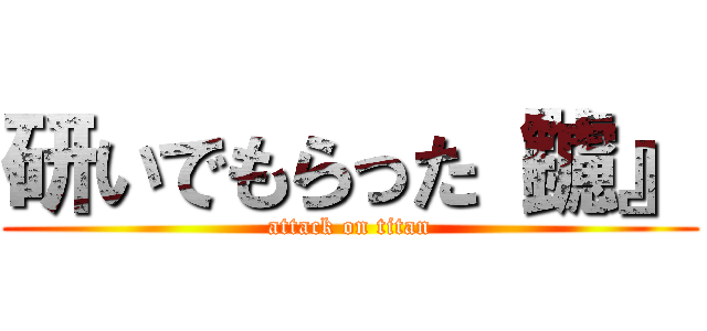 研いでもらった『鑢』 (attack on titan)