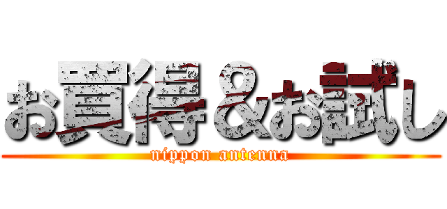 お買得＆お試し (nippon antenna)