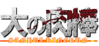 大の肉棒 (SANHUI KINGRUN)