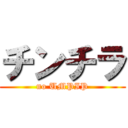 チンチラ (no UMPIP)