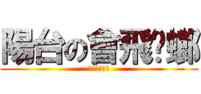 陽台の會飛蟑螂 (幹!嚇死人ㄛ)