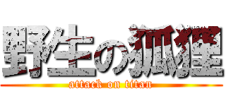野生の狐狸 (attack on titan)