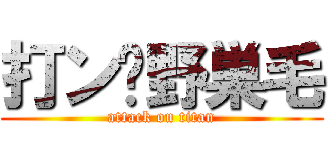 打ン゙野巣毛 (attack on titan)