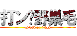 打ン゙野巣毛 (attack on titan)