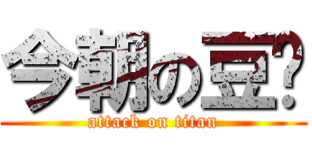 今朝の豆🫘 (attack on titan)