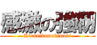 感激の強靭 (Kinnnikumukimuki)