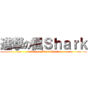 進撃の楓Ｓｈａｒｋ (attack on MapleShark)