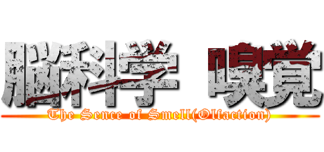 脳科学 嗅覚 (The Sence of Smell(Olfaction))