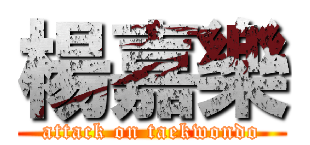 楊嘉樂 (attack on taekwondo)