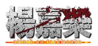 楊嘉樂 (attack on taekwondo)