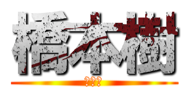 橋本樹 (橋本樹)