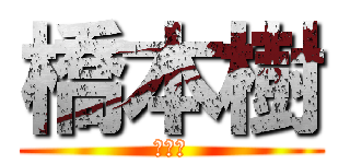 橋本樹 (橋本樹)