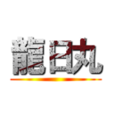 龍日丸 ()
