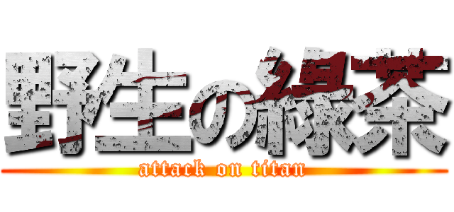 野生の綠茶 (attack on titan)