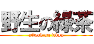 野生の綠茶 (attack on titan)