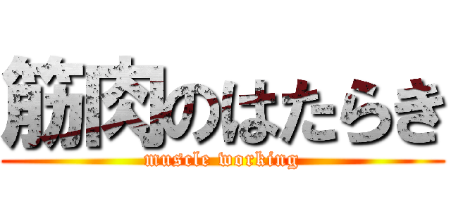 筋肉のはたらき (muscle working)