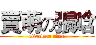 賣萌の張晗 (attack on titan)
