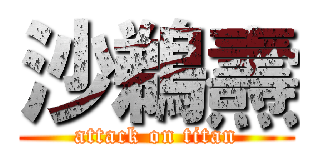 沙鵜燾 (attack on titan)