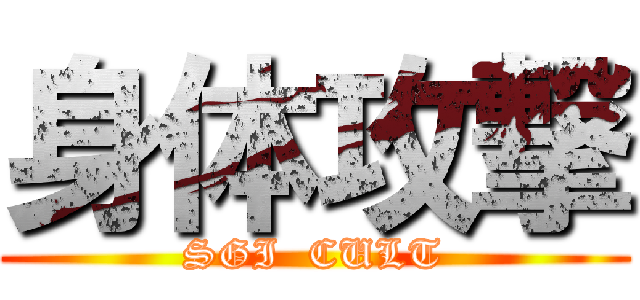身体攻撃 (SGI  CULT)