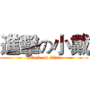 進擊の小戴 (attack on titan)