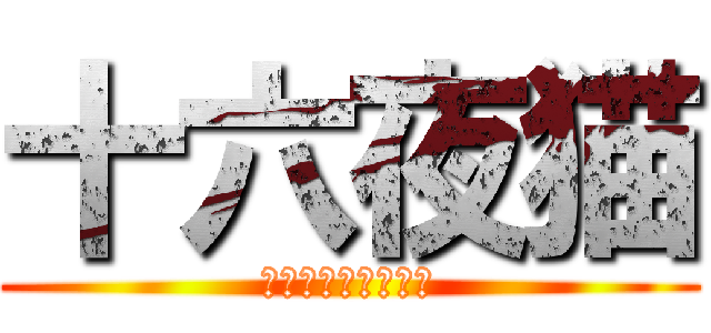 十六夜猫 (いざねこチャンネル)