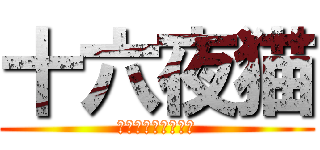 十六夜猫 (いざねこチャンネル)