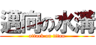 邁向の水溝 (attack on titan)
