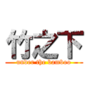 竹之下 (under the bamboo)