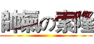 帥氣の索隆 ()