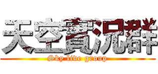 天空實況群 (Sky live group)