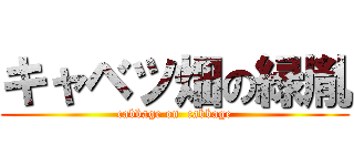 キャベツ畑の緑胤 (cabbage on  cabbage)