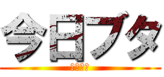 今日ブタ (養豚場編)