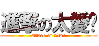 進撃の太愛婷 (attack on titan)