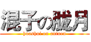 混子の胧月 (huashui on antuen)
