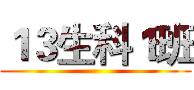 １３生科１班 ()