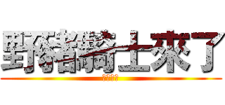 野豬騎士來了 (謝謝觀賞)