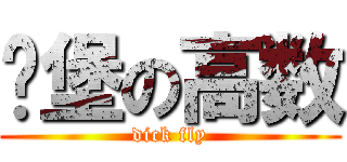碉堡の高数 (dick fly)