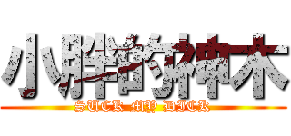 小胖的神木 (SUCK MY DICK)