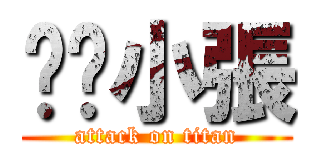 瑄瑄小張 (attack on titan)