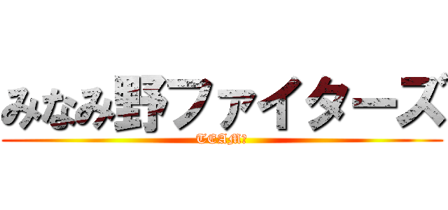 みなみ野ファイターズ (TEAM　)