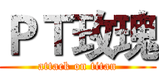 ＰＴ玫瑰 (attack on titan)