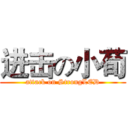 进击の小荀 (attack on StrongLED)