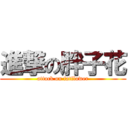 進撃の胖子花 (attack on fatflower)