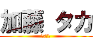 加藤 タカ (元気っ子)