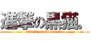 進撃の黒猫。 (attack on kuroneko)
