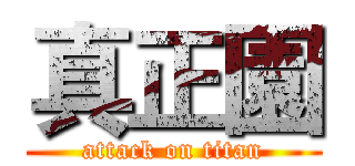 真正園 (attack on titan)